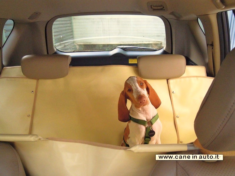 Telo Auto per Cani - Cover 'n' Go - Protezione per trasporto cane in auto