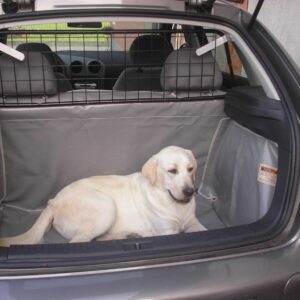Seat Ibiza terza serie 2002-2009