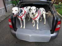 SALVA BAULE - Vasca Telo Copribaule Auto Vasca copribaule - Telo cane su  misura per protezione bagagliaio