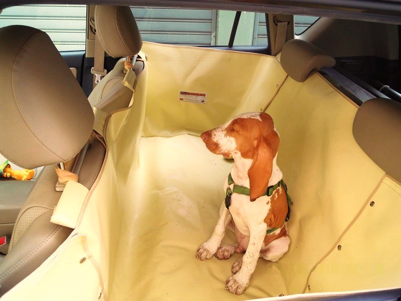 Copri Sedile Automobile per Animali con Cintura di Sicurezza