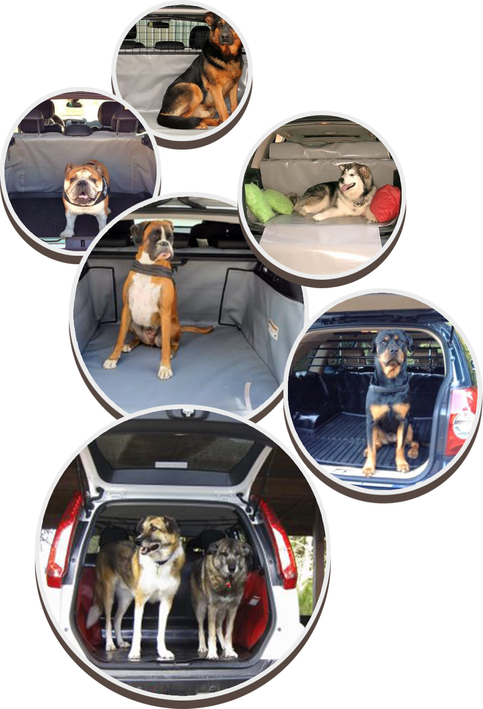 Looxmeer Protezione Bagagliaio Auto per Cani, Telo Tppetino –